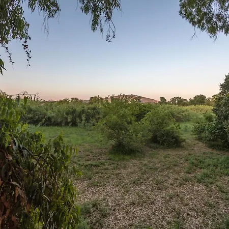 בקתה River Treehouse