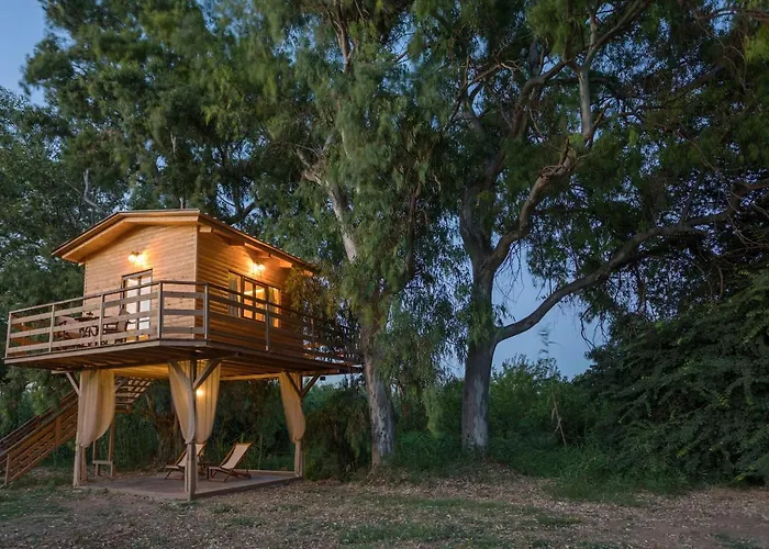 River Treehouse 샬레 *