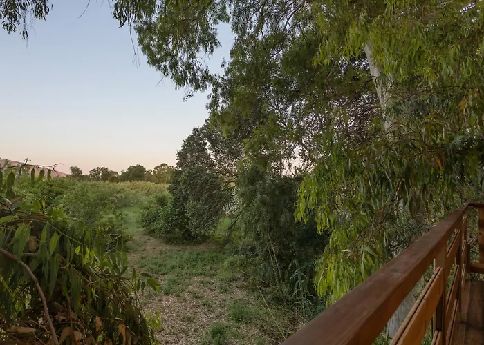 River Treehouse