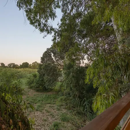 River Treehouse