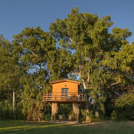 River Treehouse Laganas