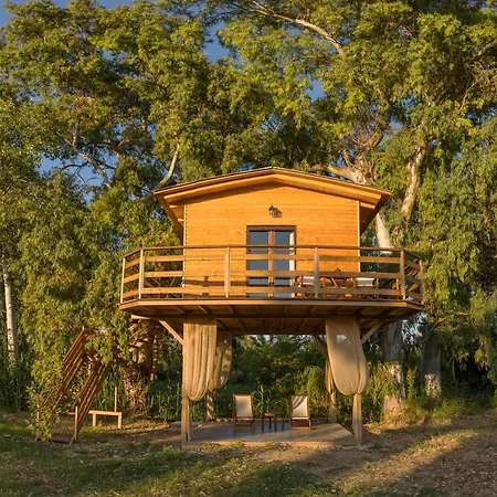 Chalet River Treehouse