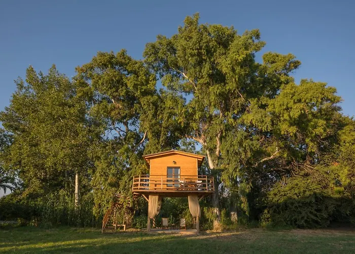 River Treehouse Laganas