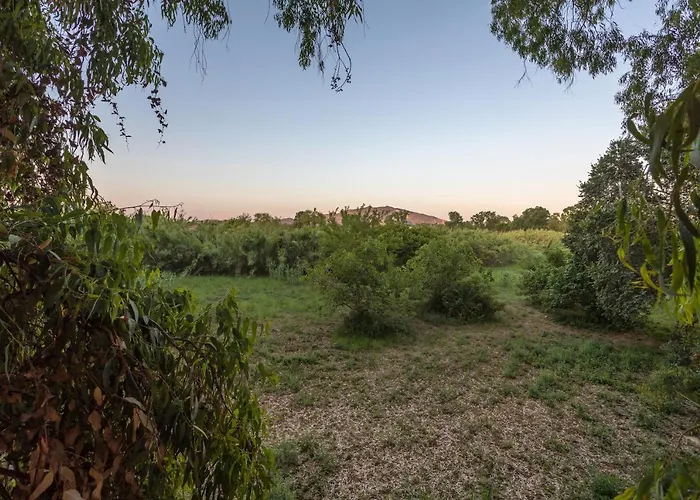 Domek alpejski River Treehouse